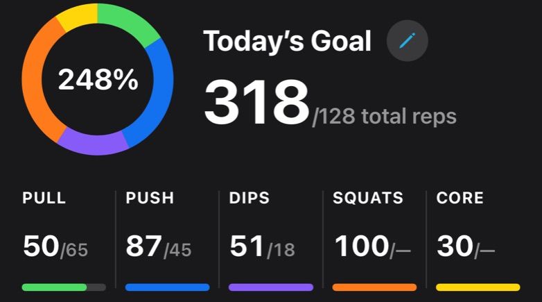 Today's Goal with all five exercises: pull, push, dips, squats and core, each with its own bar